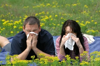 Seasonal Allergy Diagnosis