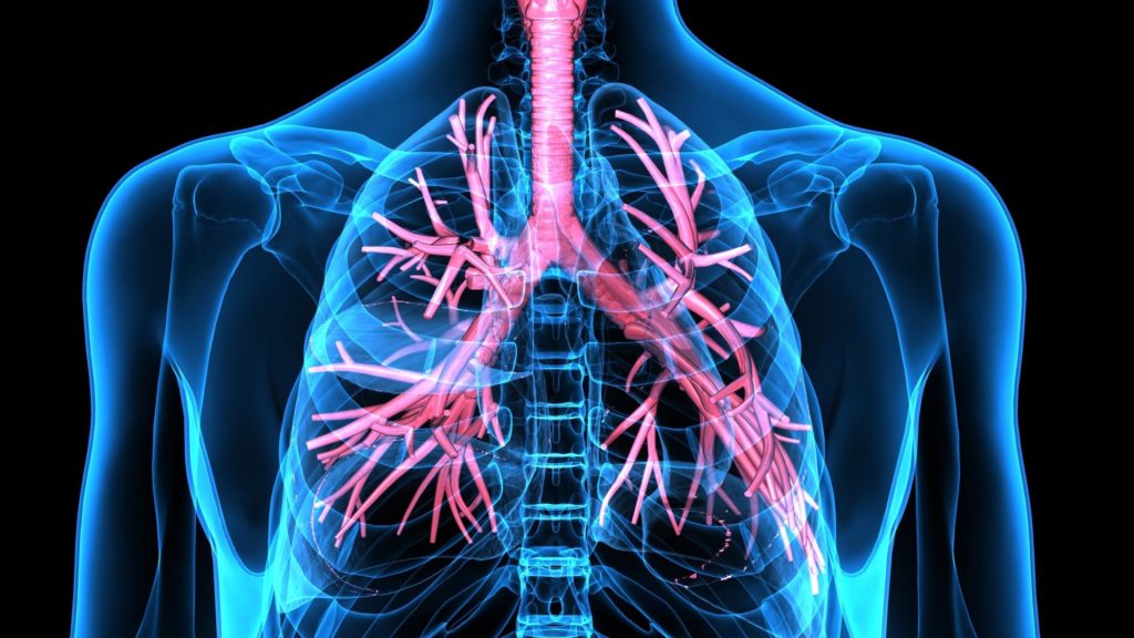 asthma vs copd