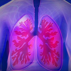 Palliative Care Regimen Options for End-Stage COPD Patients