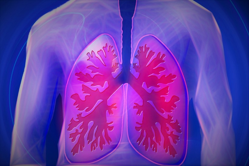 Palliative Care Regimen Options for End-Stage COPD Patients